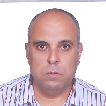 Professor Dr. Mohamed Mohamed Rashad